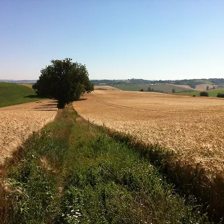 Le Moulin Du Carla *