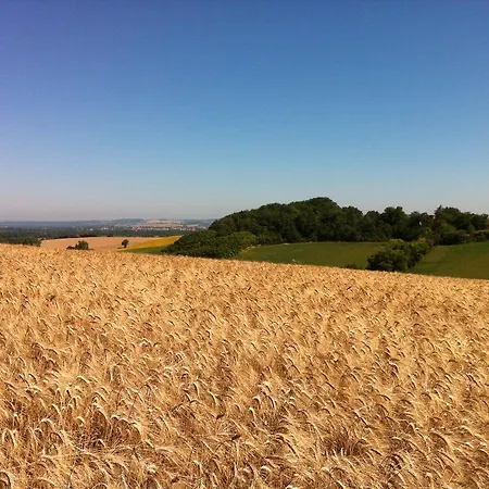 Le Moulin Du Carla Lavaur (Tarn)